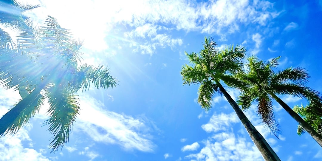 社員旅行で海外へ行くことも